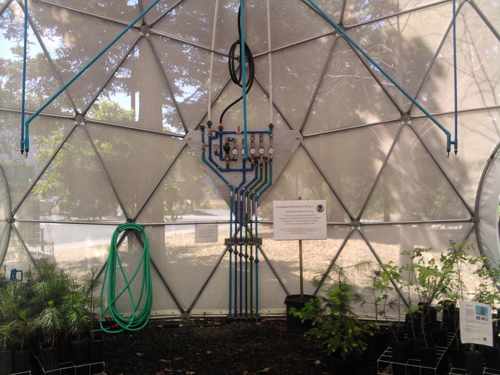 Science-Works Greenhouse Dome