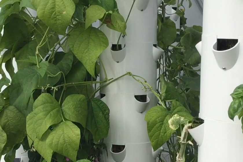 Vertical grow greenhouse dome