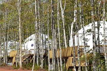 Treetop Haven Domes