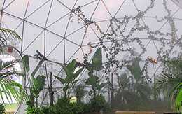 Pacific Domes Greenhouse Dome