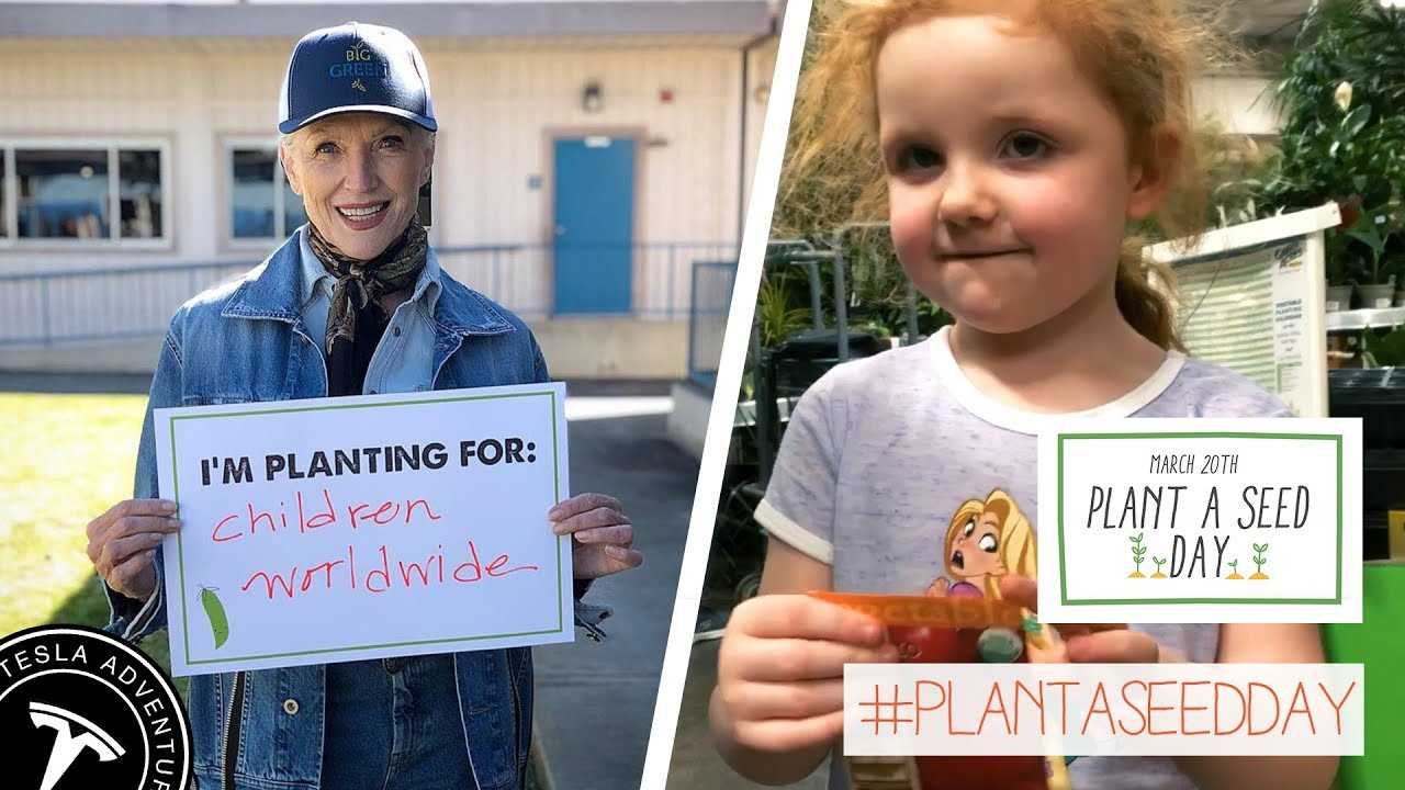 Plant a Seed Seed Day - March 20th - YouTube