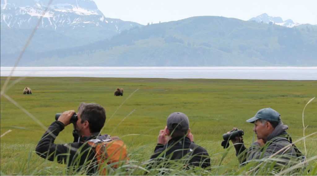 Adventure Travel - Alaskan Bears viewed through binoculars