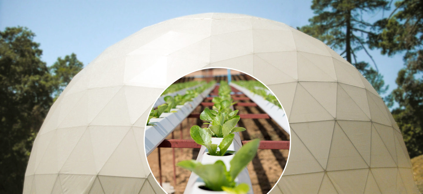 Best Geodesic Greenhouse Domes - Dome Greenhouse Kits for Sale