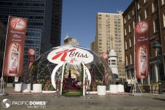 k-bliss-dome
