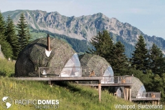 p-domes-home-domes-20