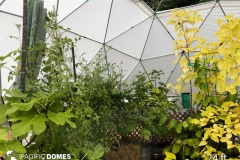 24ft-greenhouse-dome