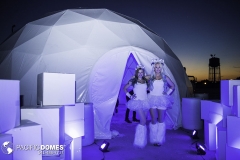 Icon-Ice-Bar-Pacific-Domes