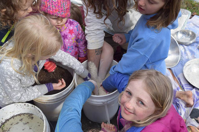 Wildflower Seedball Making Workshop