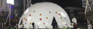 Geodesic Event Dome