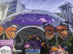 march-of-dimes-dome