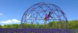 Purple powder coated climbing dome