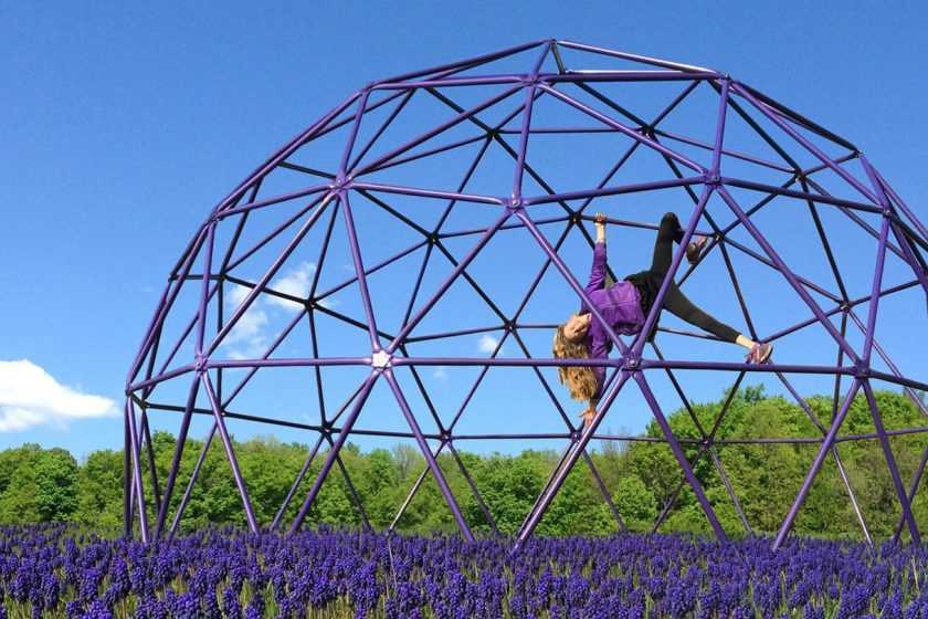 Purple powder coated climbing dome