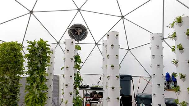 aquaponics dome