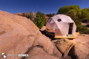 Dome in it's natural habitat!