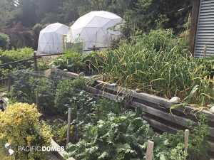 greenhouse dome, greenhouse, grow dome