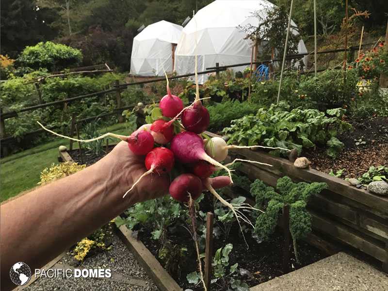 Greenhouse Dome