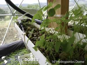 ydroponic Dome-Pacific Domes