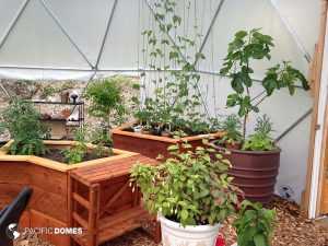 greenhouse interior 16'