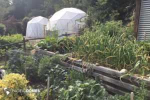 greenhouse-domes