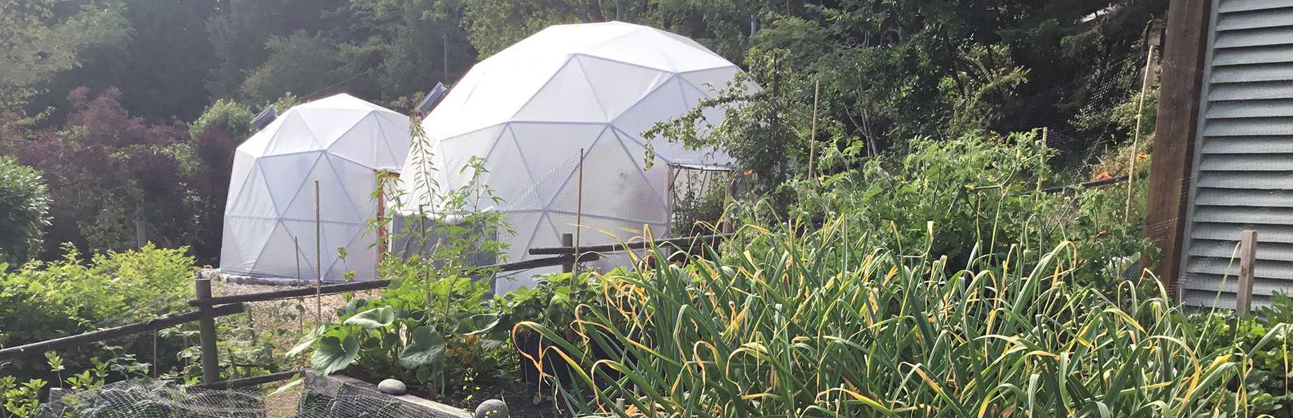 Winter Greenhouse Gardening in a Growing Dome